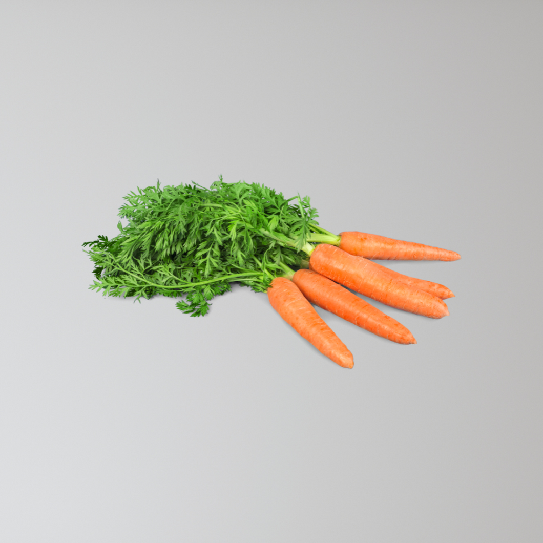 Carrot Seedling